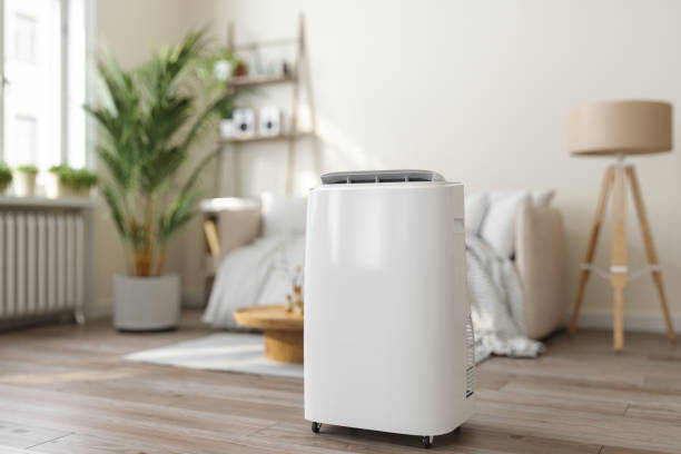 Best Ductless Mini-Split Systems in Trinity, TX